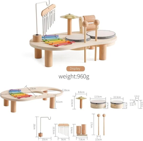 Musical Instrument