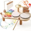 Musical Instrument