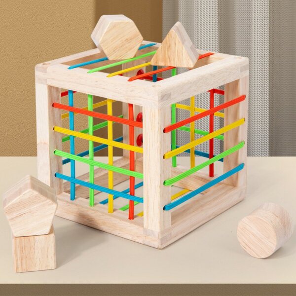 Shape cube/Elastic box