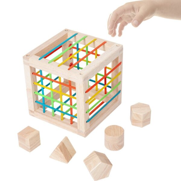 Shape cube/Elastic box