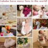 Rocking swan with doll