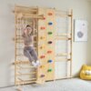 9 in 1 swedish ladder