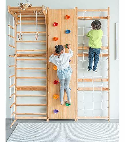 9 in 1 swedish ladder